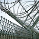 Illustration for article titled Biden Signs Order Halting Federal Private Prison Contract Renewals, But Falls Short on Ending For-Profit Immigration Detention Centers